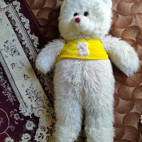 خرس یک متری
