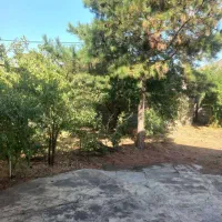 ویلایی دربست فول مبله رشت