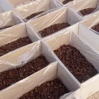 فروش کشمش خوراکی و آبگیری|خوردنی و آشامیدنی|کرمان, |دیوار