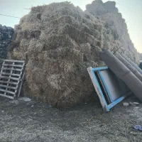 فروش پرس  علوفه