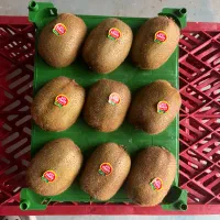 سبد تک رج کیوی