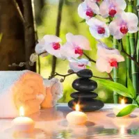 یادگیری طب سنتی