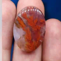 شجر درختی بی نظیر|جواهرات|سرایان, |دیوار