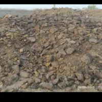 کود حیوانی دام سنگین