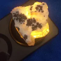 شجر تراش نخورده|جواهرات|تبریز, |دیوار