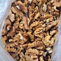 فروش مغز گردو