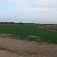 اجاره زمین کشاورزی -روستای بویری -مسیر شبانکاره
