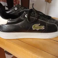 کفش|کیف، کفش، کمربند|بوشهر, |دیوار