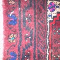 قالی و قالیچه دستی وپشتی دستی|فرش|نیشابور, شهرک بسیج|دیوار