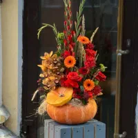 دیزاین یلدایی ، نامزدی ، تولد ، کرایه لوازم|خدمات پذیرایی، مراسم|مشهد, جاهد شهر|دیوار