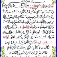 فروش  ۱۰ تن کاه لوبیا قرمز سبز ریز داخل کیسه