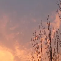 اسکان رایگان