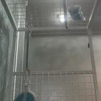 ماندن در شهر مشهد