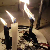 انواع فالها|خدمات پذیرایی، مراسم|تهران, تجریش|دیوار