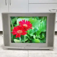 تلویزیون 21 اینچ