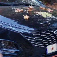 x33کراس دندیی