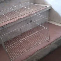 قفس پرنده