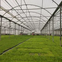 فروش گلخانه