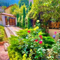 اجاره شبانه ویلا استخر دار|اجارهٔ کوتاهمدت ویلا و باغ|کلاردشت, |دیوار