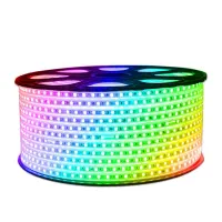 ریسه شلنگی و ریسه RGB ( قیمت ها در آگهی)|ریسه و چراغ تزئینی|بیرجند, |دیوار