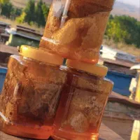 عسل موم و شهد سال ۱۴۰۵ قره داغ
