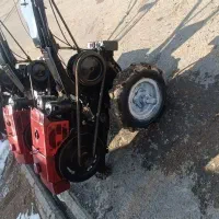 تیلرهای ژاپنی|خدمات باغبانی و درختکاری|لاهیجان, لیل|دیوار