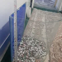 آکواریوم خم نیم دایره نیم گرد همراه پمپ هوا|ماهی|گلستان (تهران), |دیوار