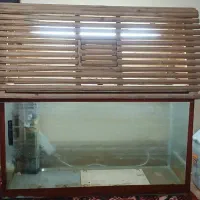 آکواریم درجه یک