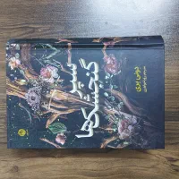 سپر گنجشگ ها