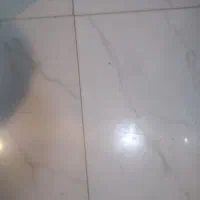 کاشی کاری وسرامیگ|خدمات پیشه و مهارت|نهاوند, |دیوار