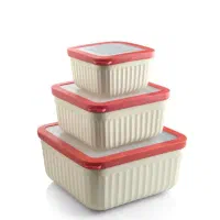 ظرف فریزری کاپریس