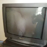 تلویزیون
