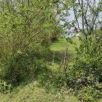 300مترزمین مسکونی دونبش سیاهکل محله|فروش زمین و ملک کلنگی|سیاهکل, |دیوار