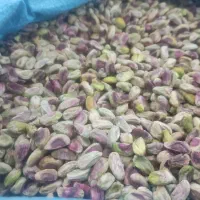 سفارش انواع پسته و مغزه پسته از یک کیلو تا چند تن