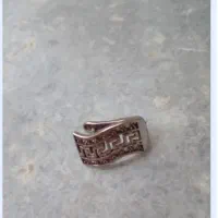 گوشواره گم شده