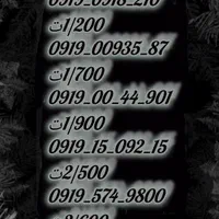 0919-110-40-30|سیم‌کارت|قم, شاه ابراهیم|دیوار