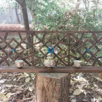 شلف دیواری و جاکلیدی چوبی گره چینی|کتابخانه، شلف، قفسه‌های دیواری|آفتاب, |دیوار