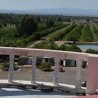 استخدام کارگر باغ
