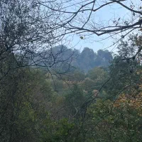باغچه-220-متری-ورسان
