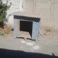 لونه سگ