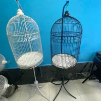 قفس گرینچیک
