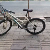 دوچرخه26ویوا المنیوم