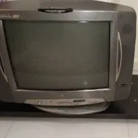 تلویزیون