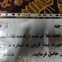 یک قطعه طلا گمشده