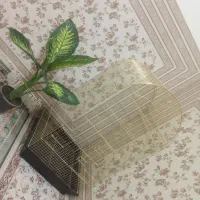 فروش یک عدد قفس زیبا و بزرگ