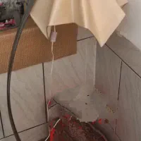 آباژور