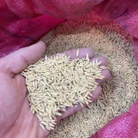 چلتوک درجه یک