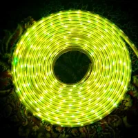 ریسه RGB ار جی بی|ریسه و چراغ تزئینی|تهران, خرمشهر|دیوار