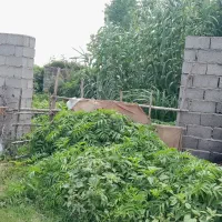 250متردوردیوارمسکونی-بایک-انباری