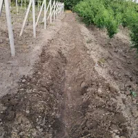 کارگر بیل زنی باغ و باغبانی